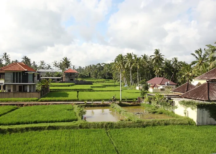 Guest house Swarapadi 3*
