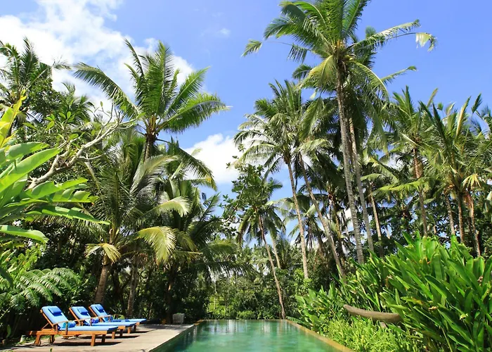 Guest house Swarapadi
