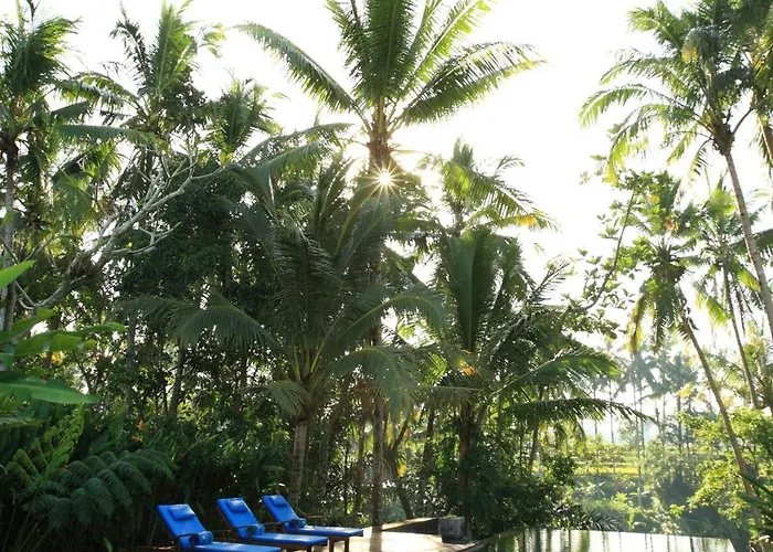 Swarapadi