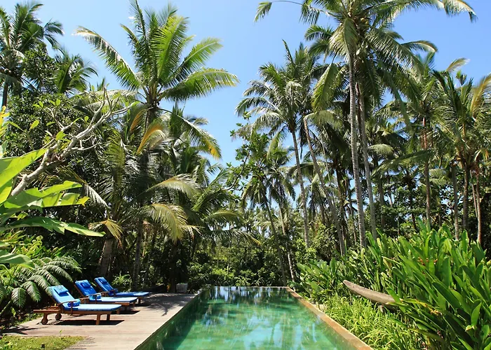 Guest house Swarapadi 3*