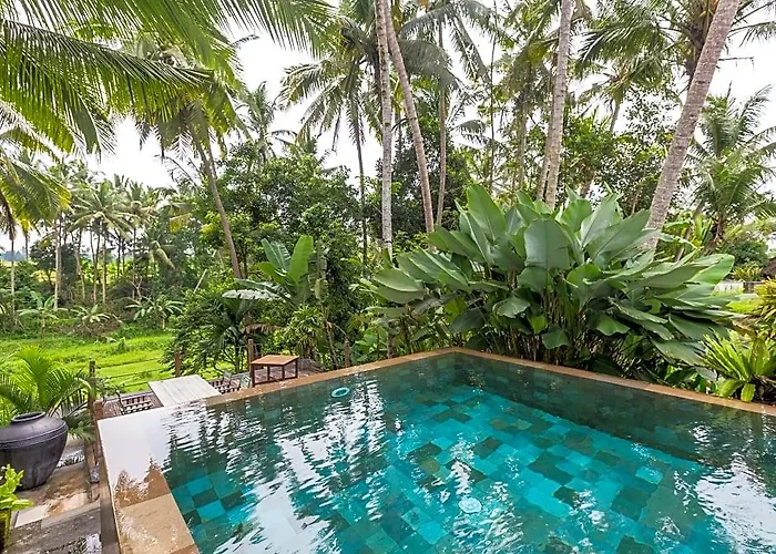 Guest house Swarapadi